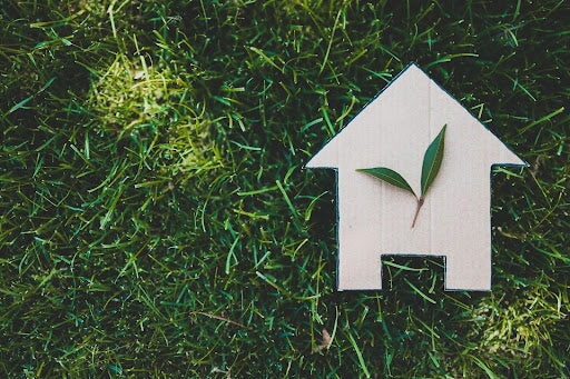 16 Sustainable Swaps for the Home