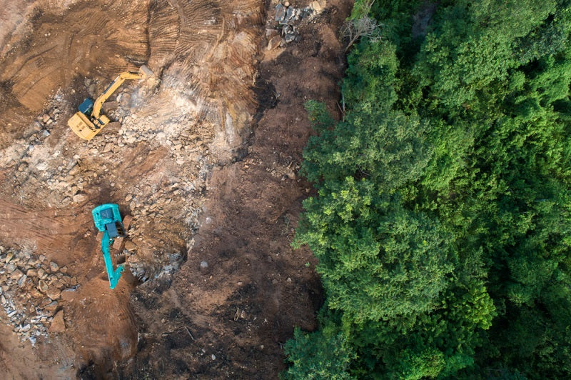 How to Stop Deforestation in 4 Ways