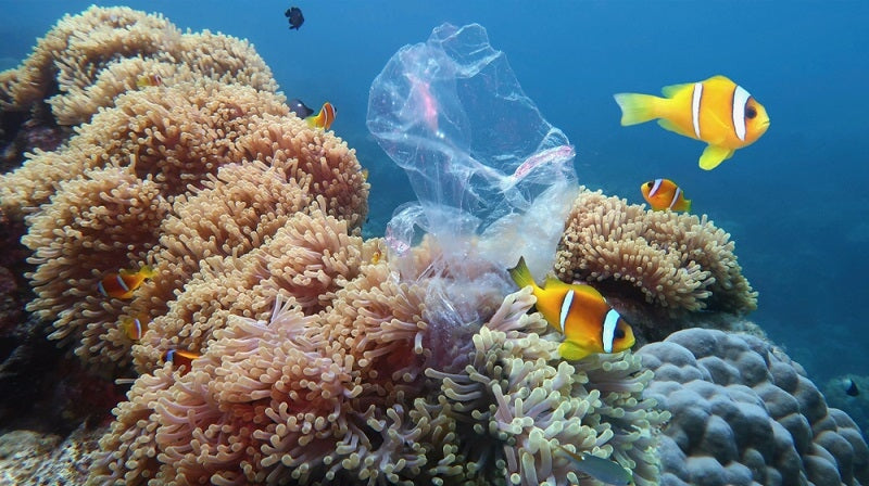 What Happens If We Stop Recycling?