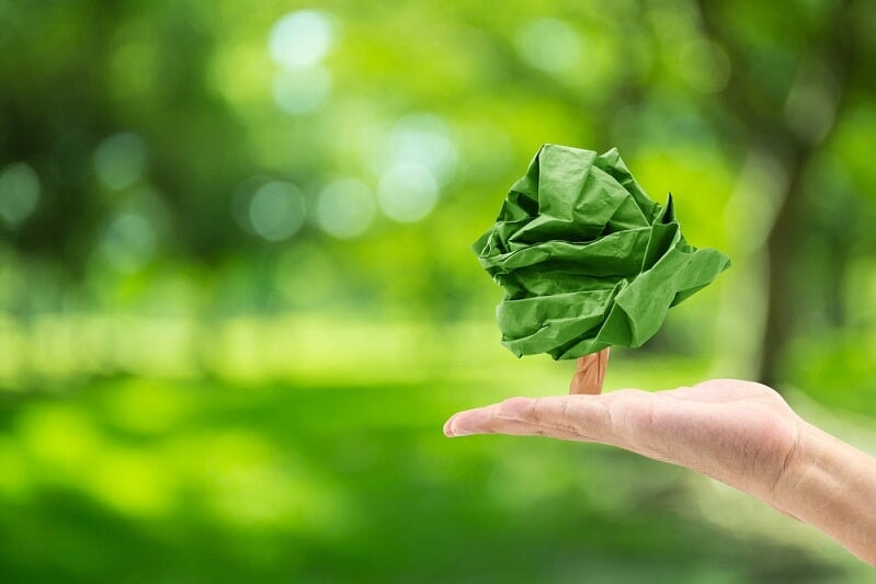 What is Recycling and How Does it Benefit the Environment?