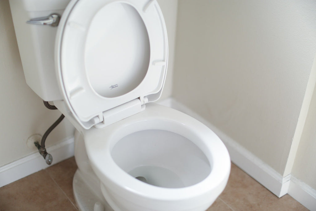 8 Things to Avoid Flushing & Other Clog-Preventing Toilet Tips