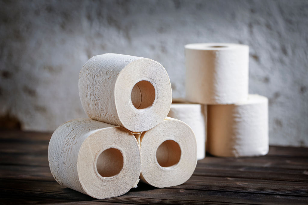 Bamboo or Recycled Toilet Paper: Which is Better?