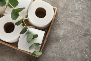 How to Make Recycled Toilet Paper?