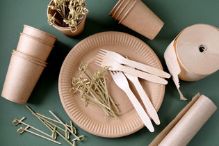 Is Bamboo Sustainable & Eco-Friendly?
