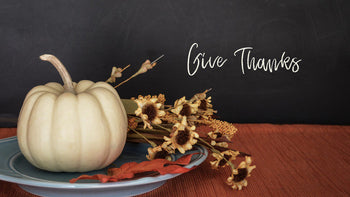 The True Meaning of Thanksgiving: 5 Humanitarian Organizations Honoring Turkey Day the Right Way