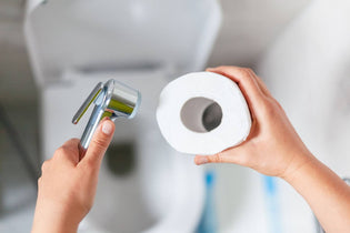 Toilet Paper vs Bidet: Which Is Better?