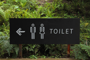 Toilet Timeline: A History of Latrines, Chamber Pots, & Smart Toilets