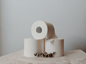 7 Different Types of Toilet Paper