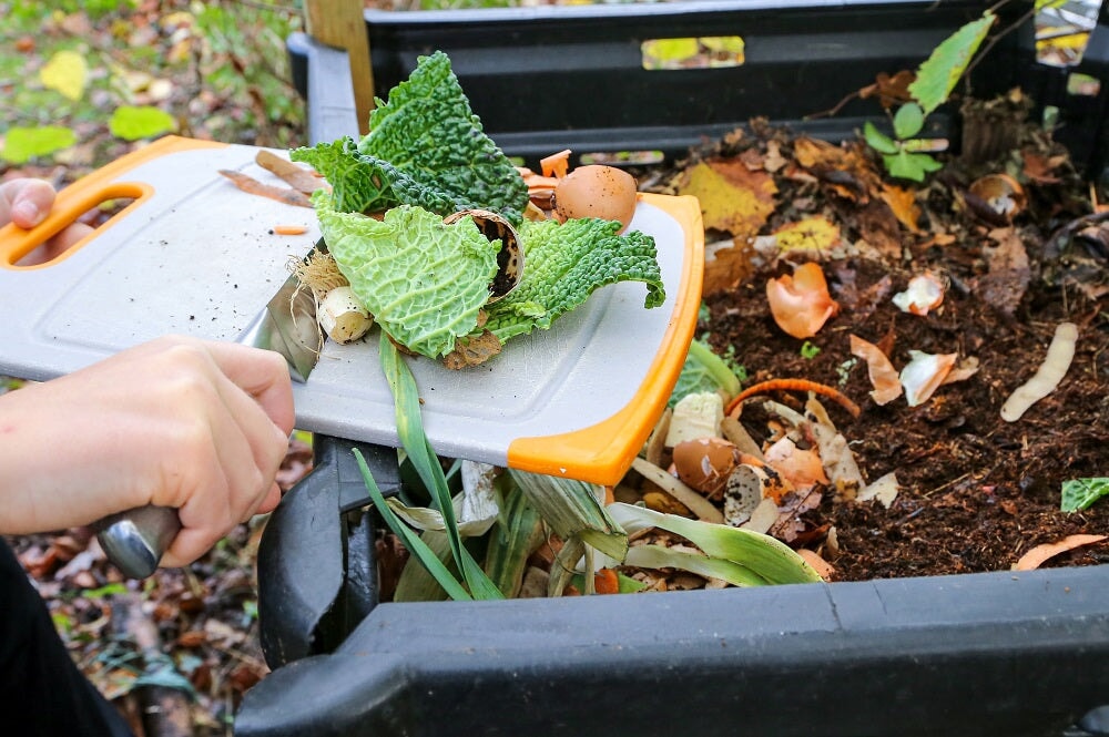What is Composting and How Does it Benefit the Environment?