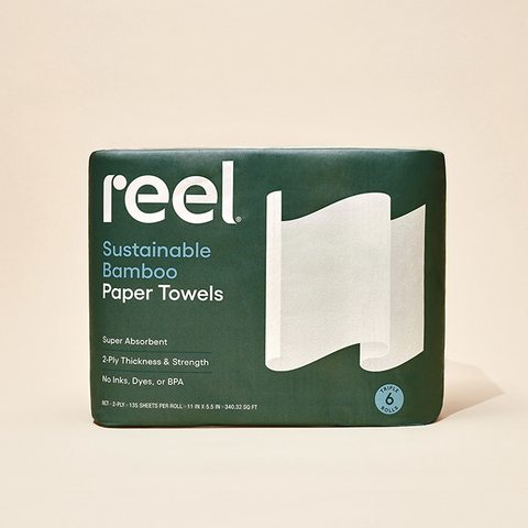 Reel Recycled Paper Towels, 12 Rolls, 2-Ply, Eco-Friendly, Hypoallergenic