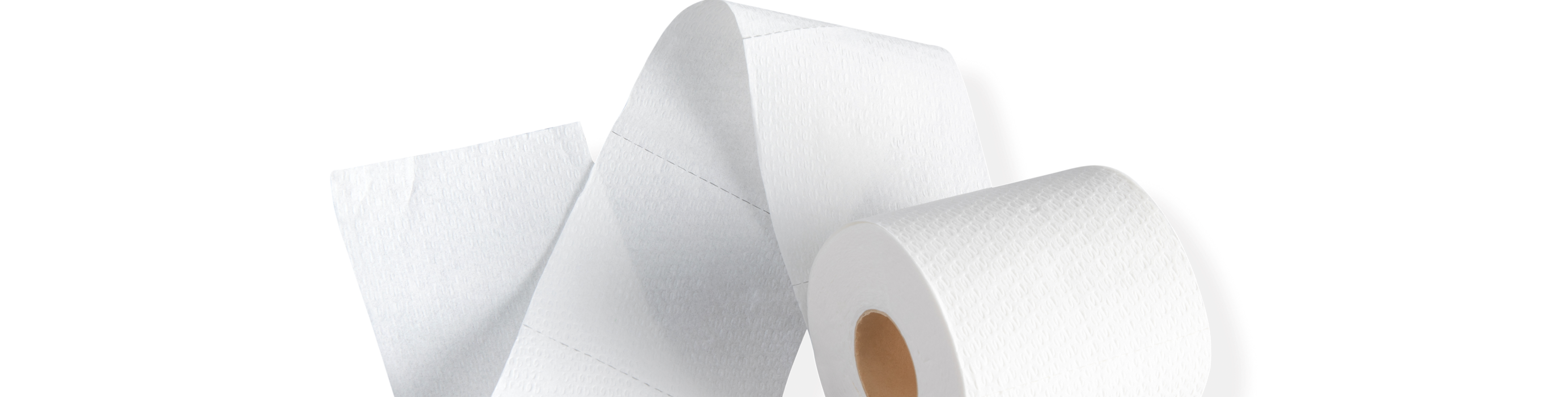 Reel Premium Recycled Paper Towels- 12 Rolls, 2-Ply Egypt