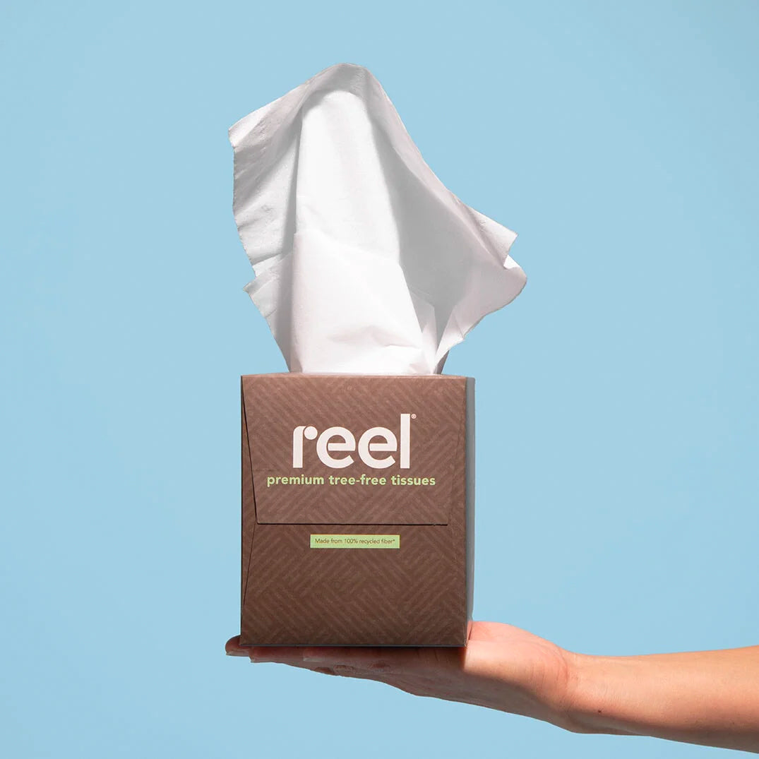 A hand holding up a box of Reel recycled tissues