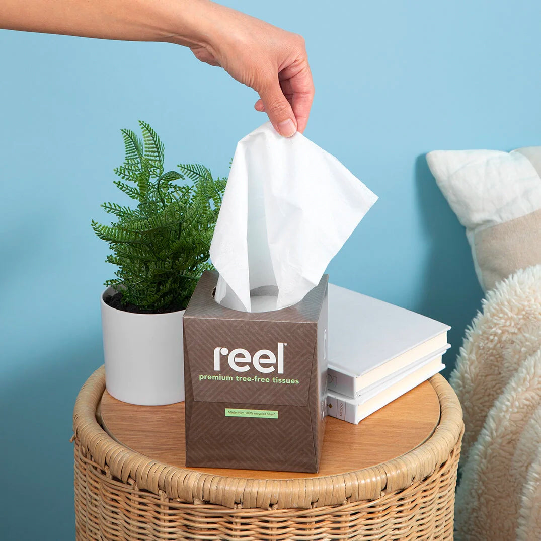 A hand pulling out a tissue from a box of Reel recycled tissues