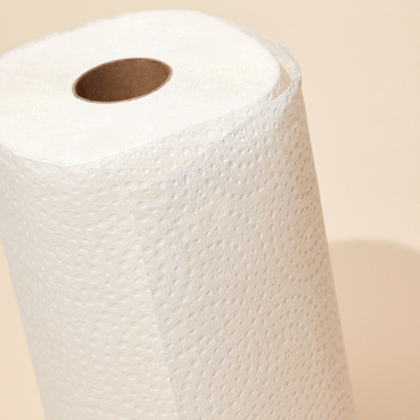 A roll of Reel Sustainable Bamboo Paper Towels