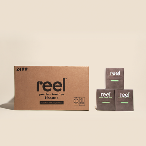 Reel Paper Products - tissues - tissues