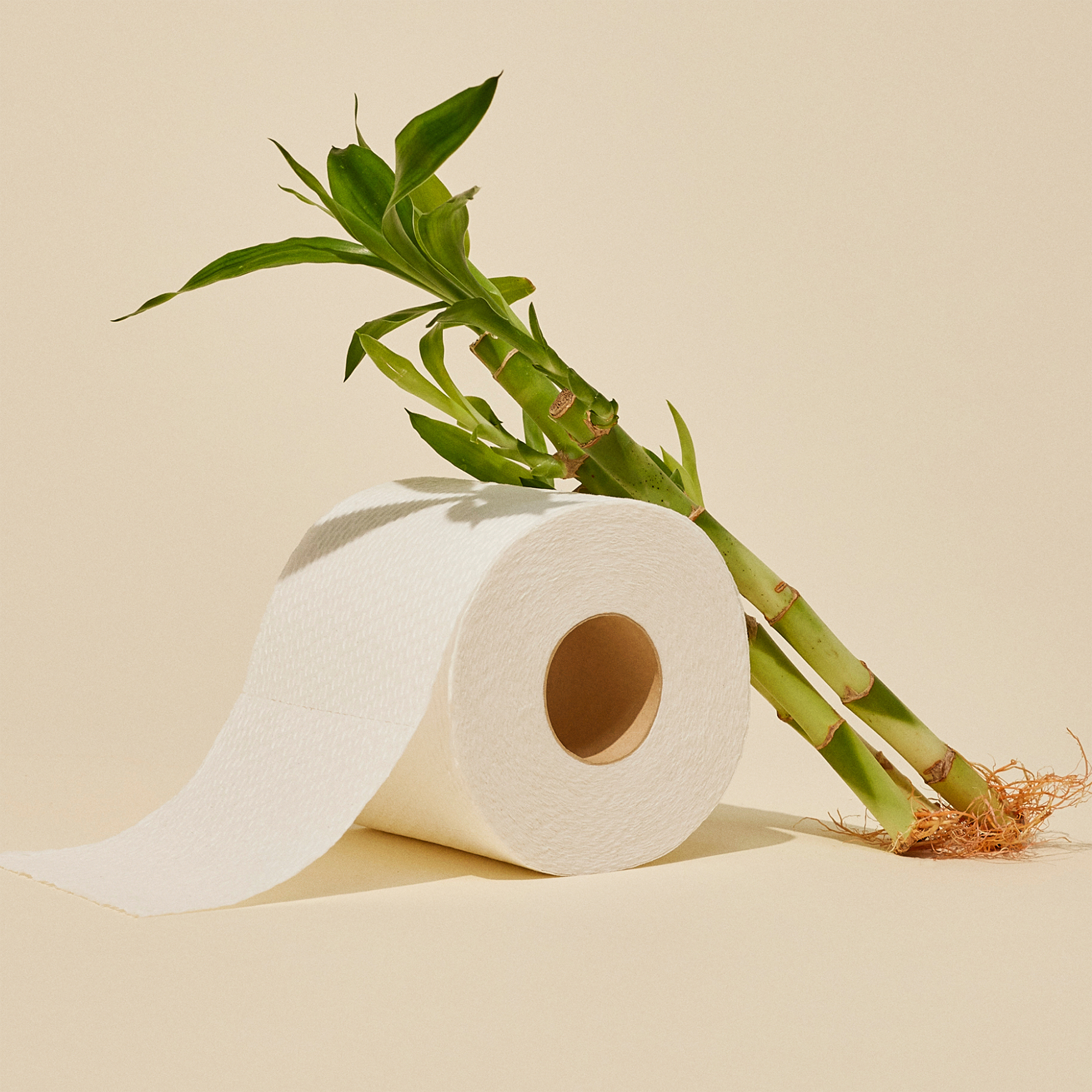 Premium Bamboo Toilet Paper - 24 Rolls, 3-Ply