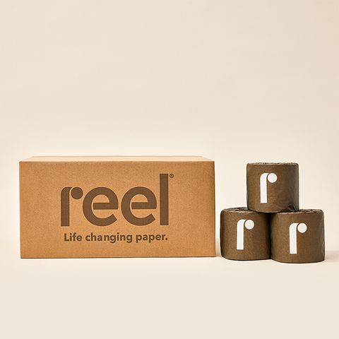 Reel Paper Reviews: Get All The Details At Hello Subscription!